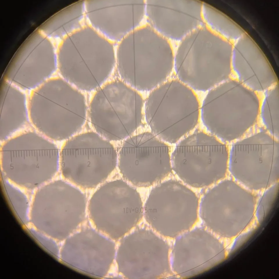 Anilox cells viewed under a microscope before laser cleaning