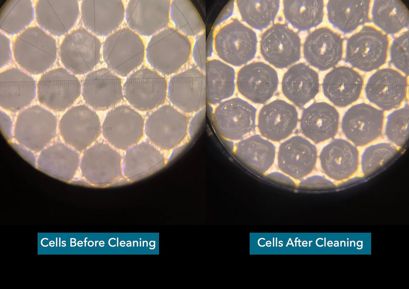 Microscope comparison of anilox cells before and after laser cleaning